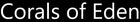 Corals of Eden logo